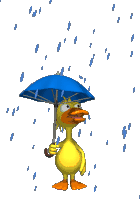 voegel_4c3e1_9a4e403b_m.gif